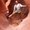 Photo of Siep B.