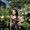 Photo of Yuhan X.