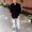 Photo of Syed F.