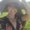 Photo of Joana P.