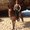 Photo of Chelsea D.