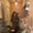 Photo of Aliyah R.