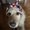 Photo of Stella A.