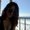 Photo of Liz A.