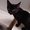 Photo of Missy F.