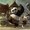 Photo of Qype User (nei218…)