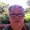 Photo of Angie A.