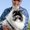 Photo of Dave P.