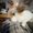 Photo of Aliya D.