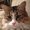 Photo of Lizbeth S.