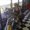 Photo of Roxana S.