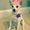 Photo of Sassha R.
