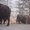 Photo of Pokegama C.
