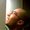 Photo of Kaleb S.