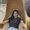 Photo of Arianna M.
