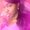 Photo of Skye Z.