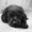 Photo of Candy A.