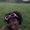 Photo of Aaliyah G.