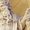 Photo of Dionysus K.