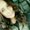 Photo of Briana H.