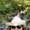 Photo of Leah N.