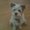 Photo of Marleen G.
