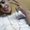 Photo of Jayle J.