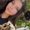Photo of Abbi F.