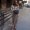 Photo of Jasmin J.