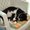 Photo of Qype User (cassed…)