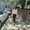 Photo of Payal M.