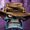 Photo of Todd T.