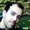 Photo of Ramond D.