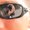 Photo of Qype User (lawles…)