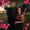 Photo of Crystal N Donald M.