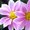 Photo of Qype User (bibb…)