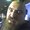Photo of Ramzey A.