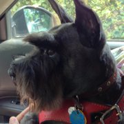 UPLAND VACUUM & SEWING - 14 Photos & 33 Reviews - 113 N 2nd Ave, Upland