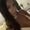 Photo of Vee E.