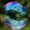 Photo of Waco A.