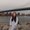 Photo of Emily D.