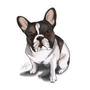 google avatar