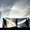 Photo of Daniel C.