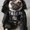 Photo of Boba B.
