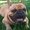Photo of Max B.