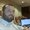 Photo of Haitham E.