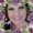 Photo of Lori S.