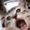Photo of Ellie_bells._. ..