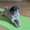 Photo of Penny B.