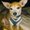 Photo of Amy K.